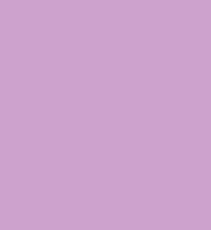 NBQ Pro Spray Paint Slow 400ml Violet, purple & lilac Scales