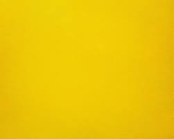 NBQ｜Pro Spray Paint Slow 400ml Yellow Scales